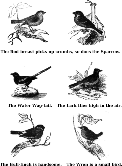 The Red-breast Picks up Crumbs, So Does The Sparrow. The Water Wag-tail. The Lark Flies High in The Air. The Bull-finch is Handsome. The Wren is a Small Bird. 