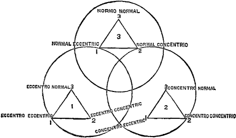 Chart considered from the organic point of view