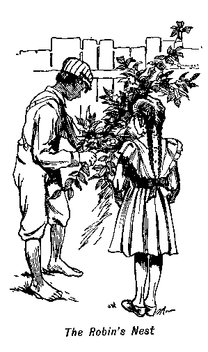 [Illustration: <i>The Robin's Nest</i>]