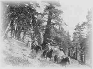 On the Trail Returning from the Summit of Mt. Tallac 