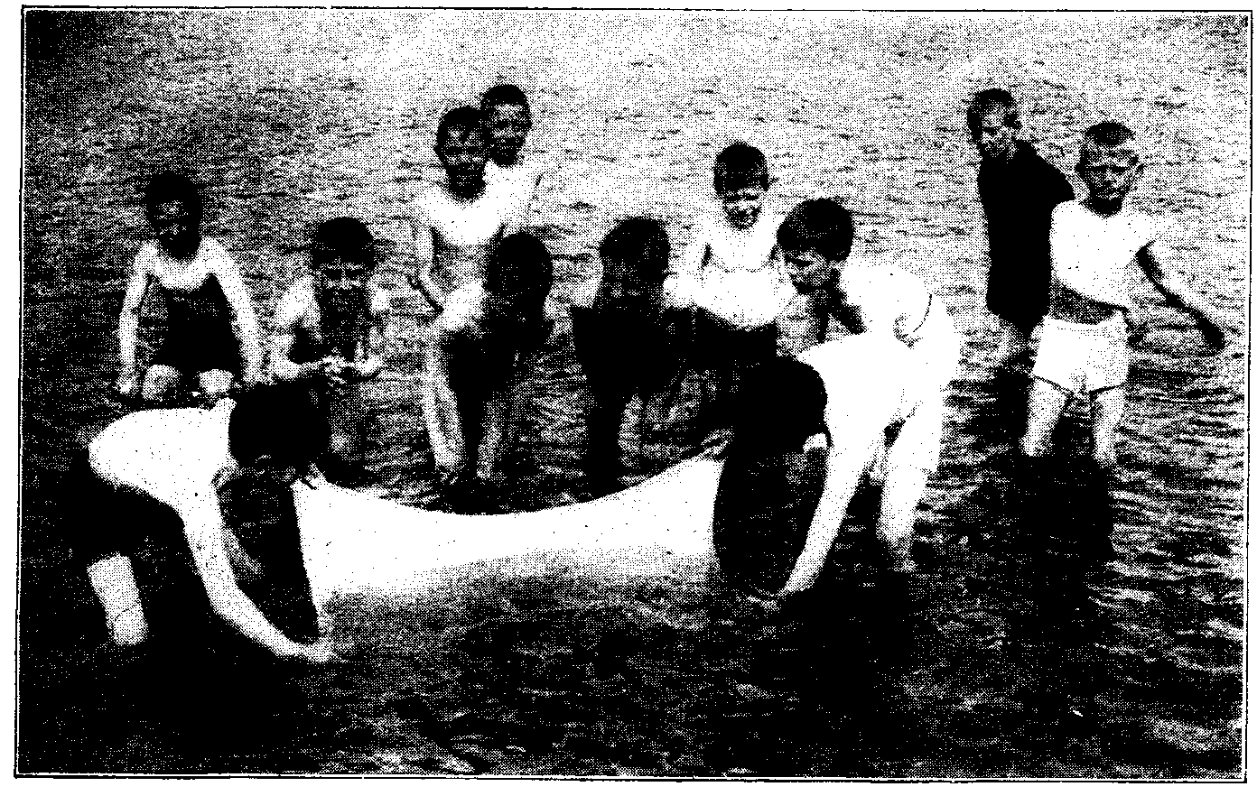 Photograph of Children Wading in a Lake