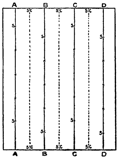 The crosses show where Myron set the strawberry plants. The dotted lines signify the plantings of succession crops