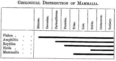 GEOLOGICAL DISTRIBUTION OF MAMMALIA.