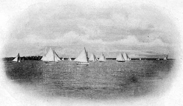 Yacht Race in Buzzard's Bay
