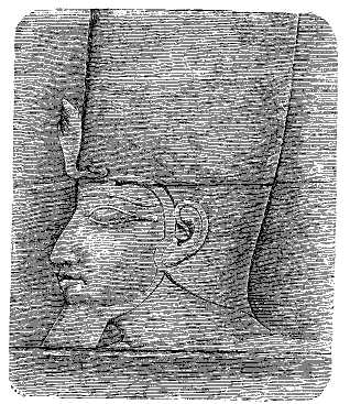 HEAD OF SHABAK (SABACO).