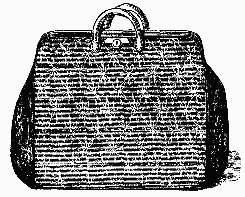 FIG 1.—THE CARPET BAG.