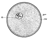 FIG. 9.