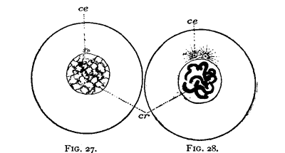 FIG. 27-28.