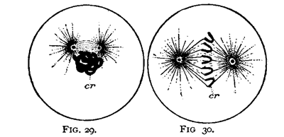 FIG. 29-30.