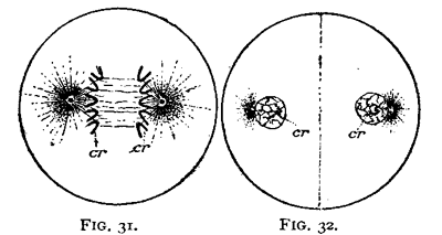 FIG. 31-32.