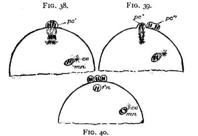 FIG. 38-39-40