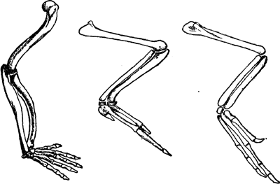 FIG. 47-48-49