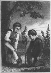 Two Boys Planting a Tree