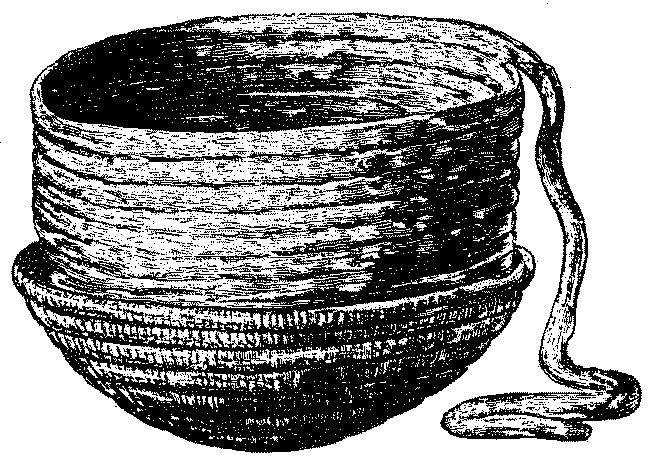 Fig. 529