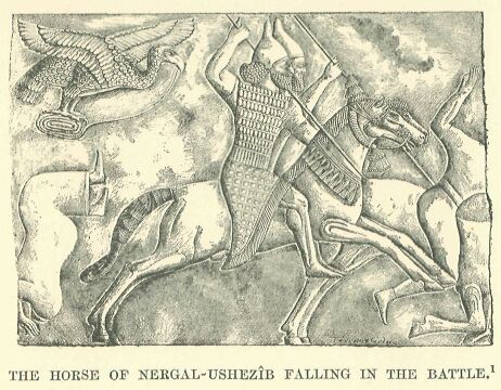 054.jpg the Horse of Nergal-ushezÎb Falling in The Battle 