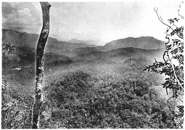 Landschaft von Mittel-Borneo (oberer Mahakam).