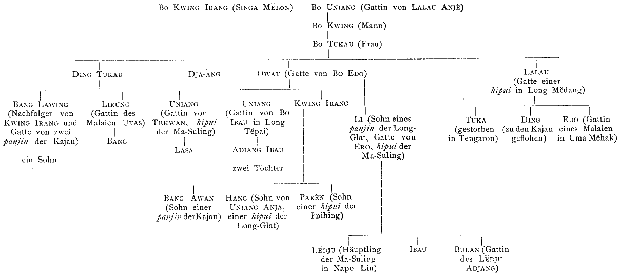 Stammbaum der hipui bei den Mahakam Kajan.
