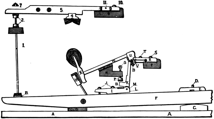 Action of the Square Piano.