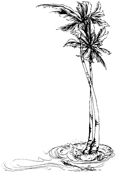 Palm Tree