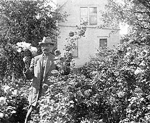 Martin Frydholm in his rose garden, at Albert Lea.