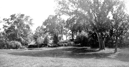 A valley lawn with shrubbery on border of woods. Formerly occupied by henhouse and yards.  View on same grounds with garden pergola shown on page 331.