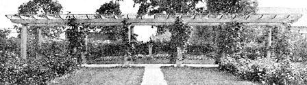 A garden pergola erected last summer on clients' grounds south of Lake Harriet, Minneapolis—covering walk from house to garden, sixty five feet long.