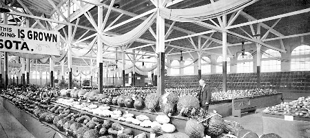 View over vegetable table and across fruit exhibit at 1916 Minnesota State Fair. Mr. Thos. Redpath, Supt. Fruit Exhibit.