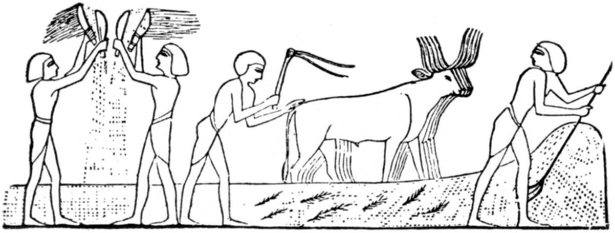 Egyptians Threshing and Winnowing