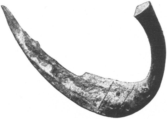 Canaanite Sickle