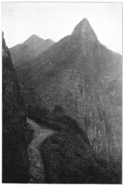 Scene in Olokele Gulch, Makaweli, Kauai.