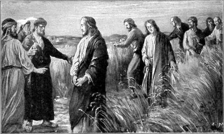 CHRIST AND HIS DISCIPLES IN THE CORN-FIELDS  "The Son of man is Lord even of the Sabbath day." Matt. 12:8.