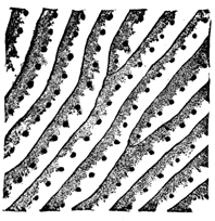 A drawing of magnified cross-section of sckin