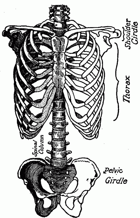 Fig. 101