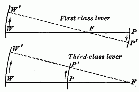 Fig. 116