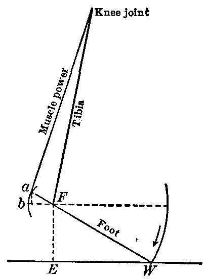 Fig. 118