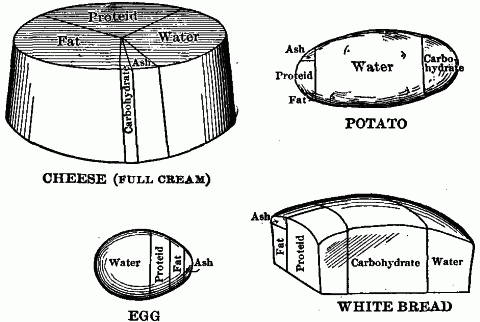 Fig. 61