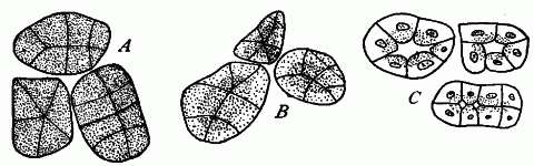 Fig. 86