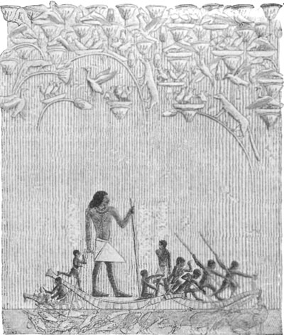 FIG. 1.—HUNTING IN THE MARSHES. TOMB OF TI, SACCARAH.  (FROM PERROT AND CHIPIEZ.)