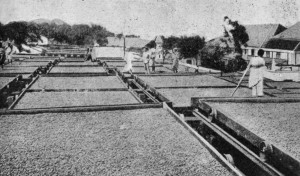 DRYING CACAO AT AGUA IZE, SAN THOMÉ. The trays are on wheels, which run on rails.