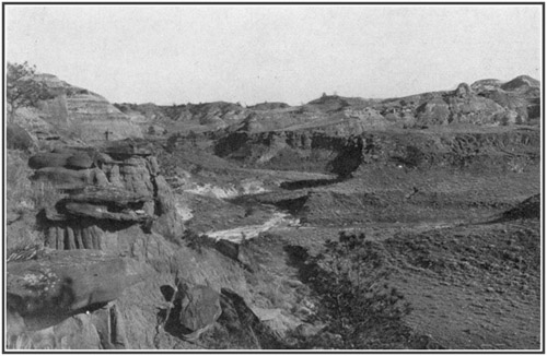 Fig. 13.: View in the Hell Creek badlands in central Montana, where the Tyrannosaurus skeleton was found.