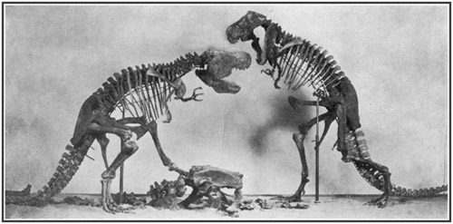 Fig. 15.: Model of Tyrannosaurus group for the Cretaceous Dinosaur Hall.