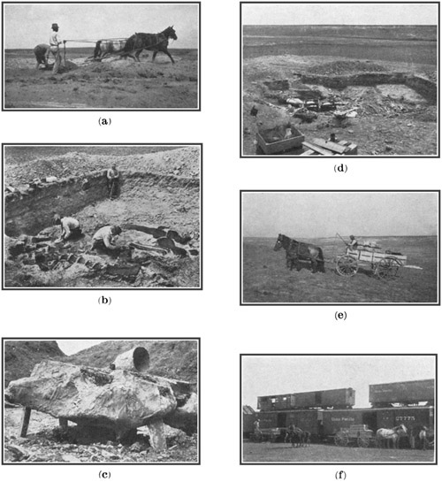 Fig. 45.: Collecting Dinosaurs at Bone-Cabin Quarry.