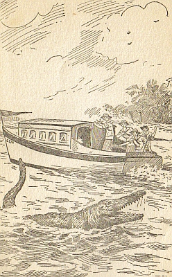 "THERE! THERE!" SCREAMED GRACE. "THERE'S AN ALLIGATOR!"