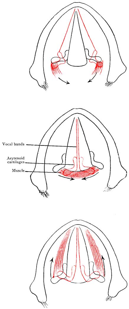 Fig. 35