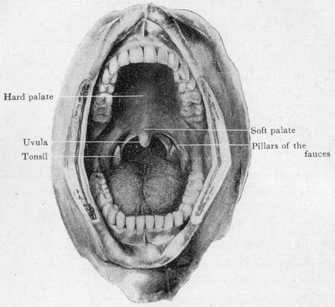 Fig. 47