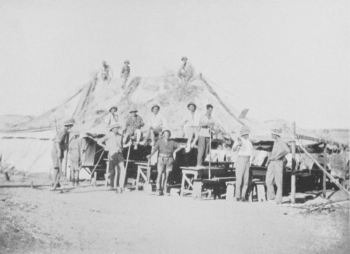 Camouflaging a Tent with Desert Scrub