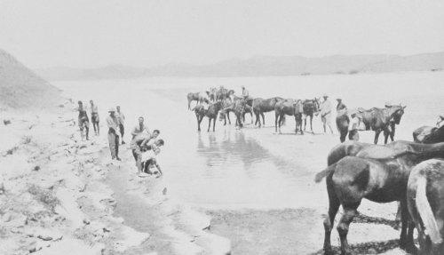 Summer in the Wadi Ghuzzee