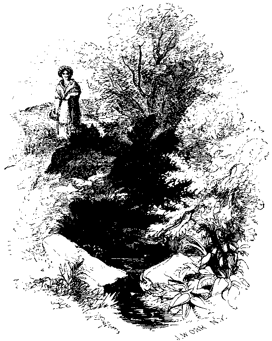 Illustration: "THE NUN'S WELL."