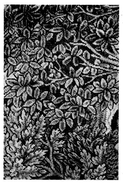 Plate VI.—A detail of Foliage taken from a late XVIth Century Embroidered Picture, representing the story of Daphne.