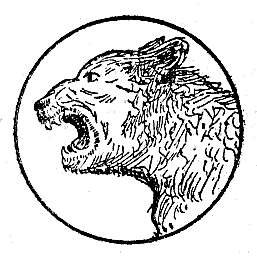 line drawing, animal head